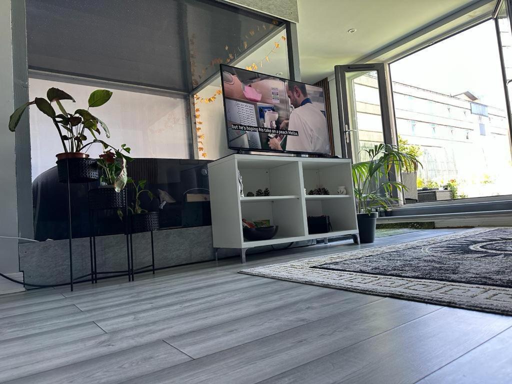 Unique Penthouse With Jacuzzi & Garden